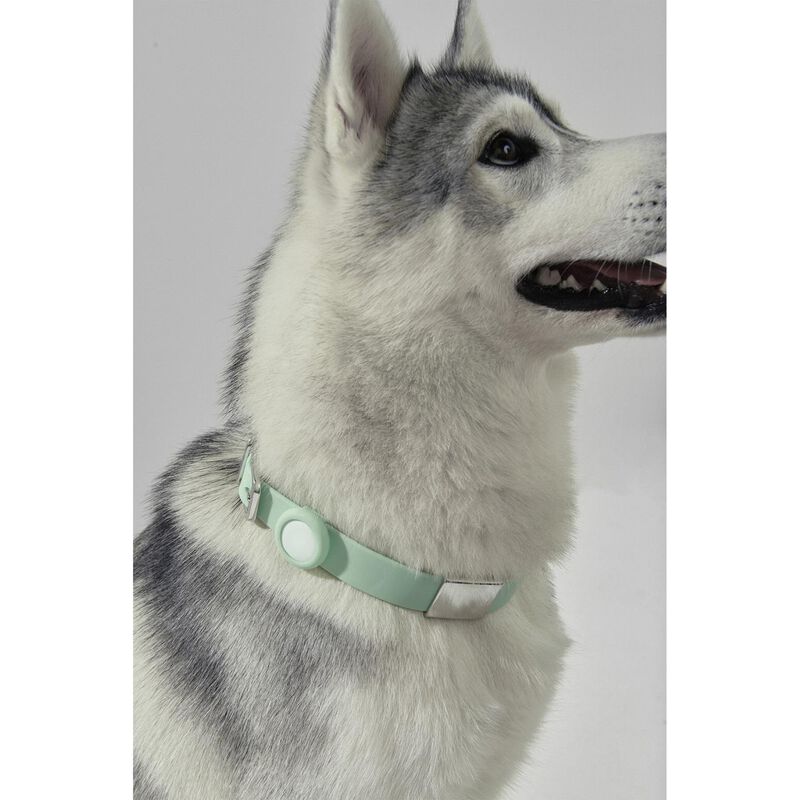 frank green Pet Collar + Name Tag Large Mint Gelato image number 1